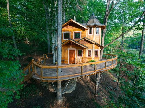 Immerse yourself in the enchantment of a magic wood tree house